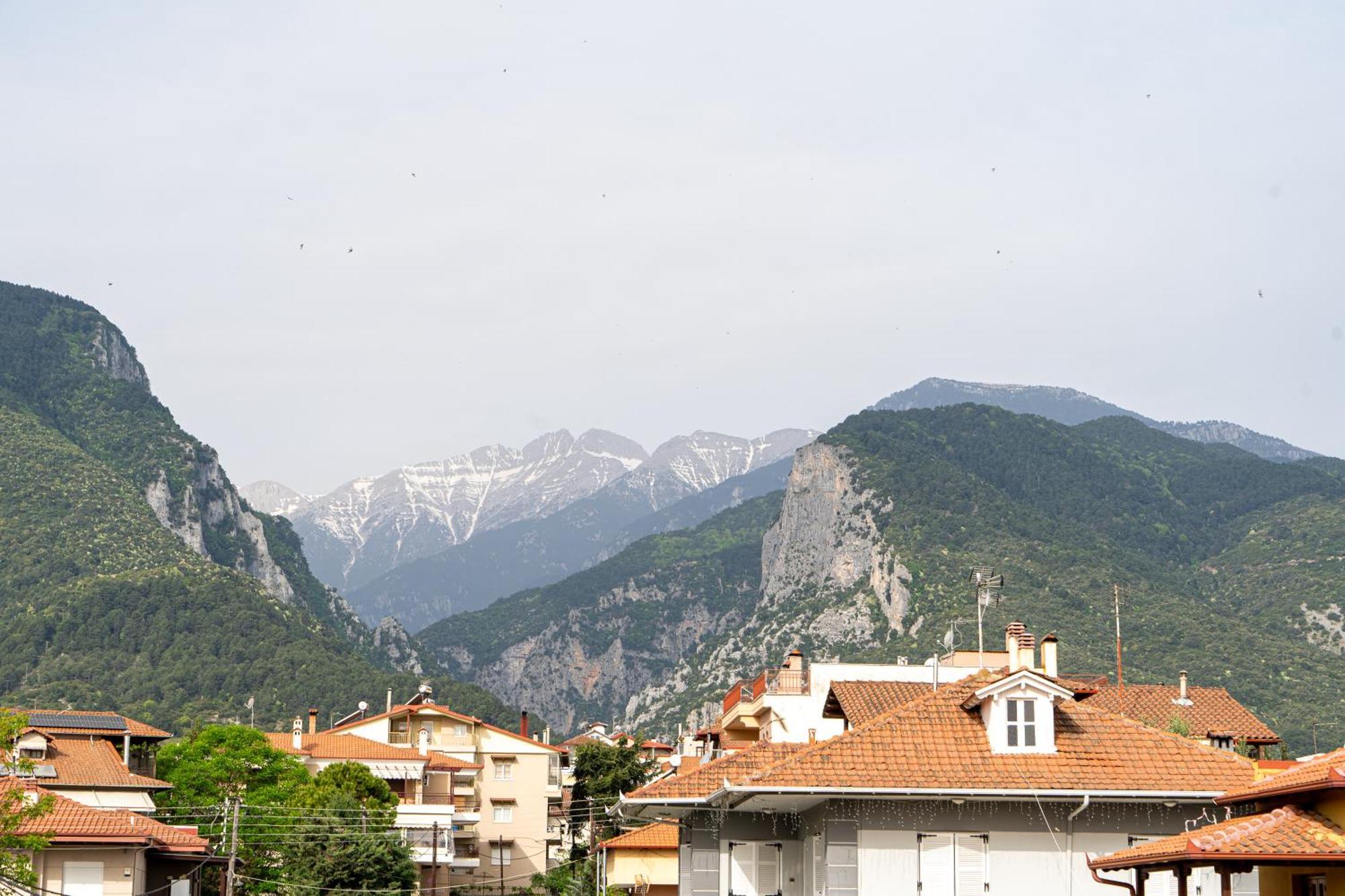 Ophelia - New Modern Apartment With Spectacular Olympus View Litochoron Bagian luar foto